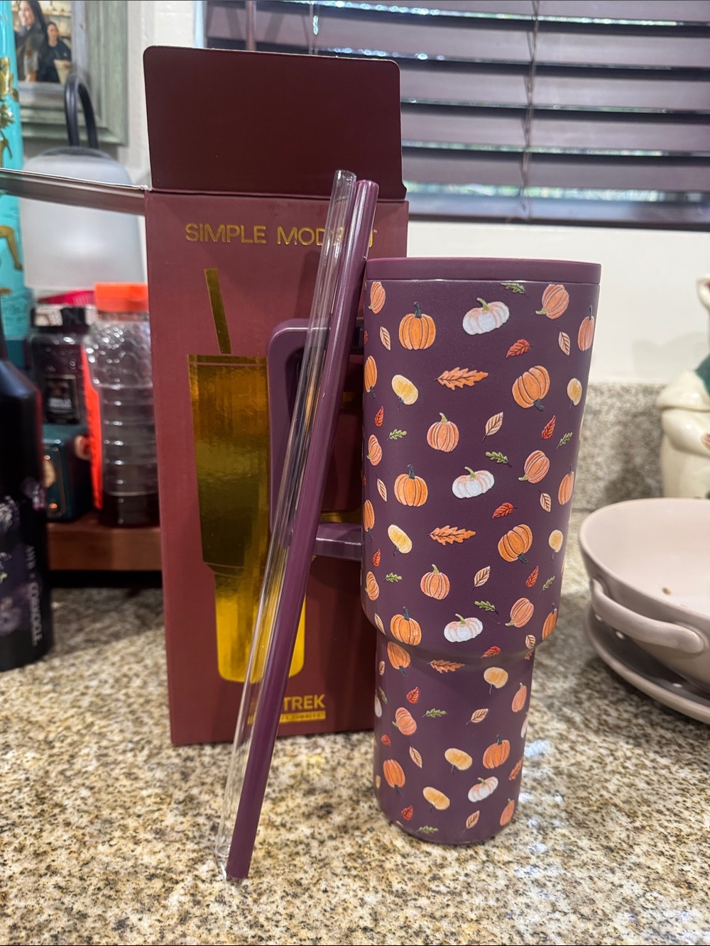 Simple Modern Purple Pumpkin Fall Travel Tumbler with Straw